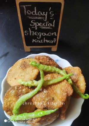 A picture of Shegaon kachori.