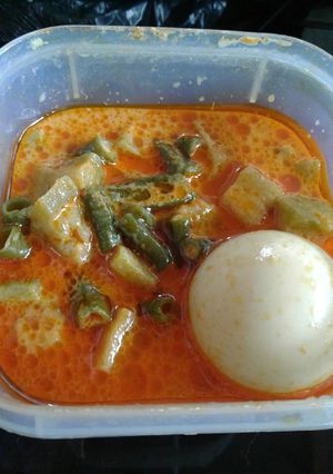 Foto resep Sayur lodeh telur terong