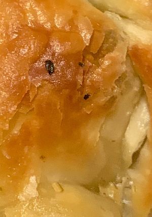 Una foto de Empanadas de muzzarella y orégano