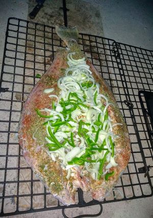 Una foto de Corvina Negra a la Mantera