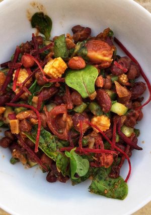 A picture of Mixed bean and Paneer Salad.