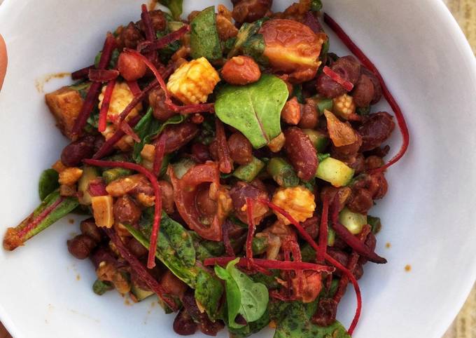 Mixed bean and Paneer Salad