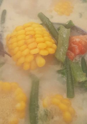 Foto resep Sayur Lodeh