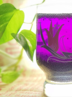 عکسی از دستور شربت تخم شربتی، گلاب و پنیرک