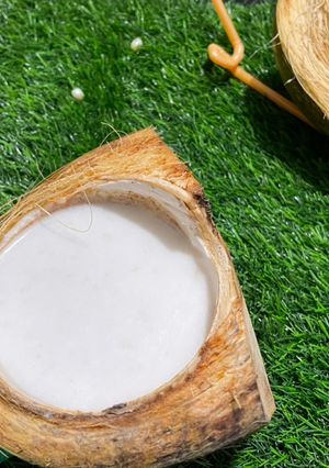 નાળિયેર નું શરબત (Nariyal Sharbat Recipe In Gujarati) રેસીપી મુખ્ય ફોટો