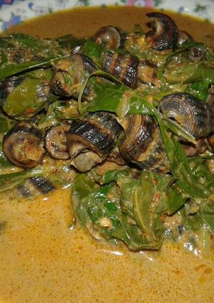 Foto resep Gulai siput sedot with daun ubi