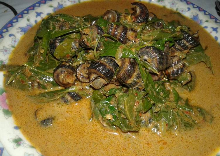 Resep Gulai siput sedot with daun ubi yang Enak
