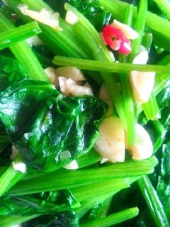 蒜味蠔油菠菜 的食譜成品照片