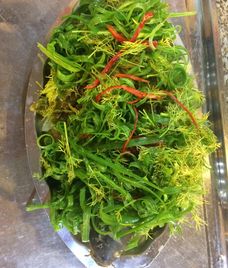 cá chép giòn om dưa