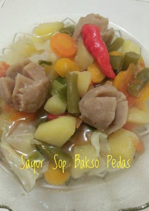 Foto resep Sayur Sop Bakso