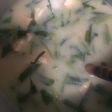 Santan Kangkung Tahu Pedas