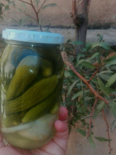 عکسی از دستور خیارشور خانگی
