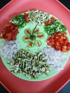 ફણગાવેલા મગ નું સલાડ (Fangavela Moong Salad Recipe In Gujarati) રેસીપી મુખ્ય ફોટો