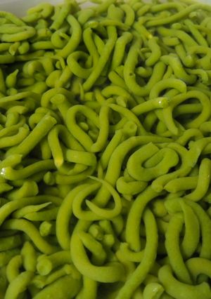 Foto resep Cendol pandan suji