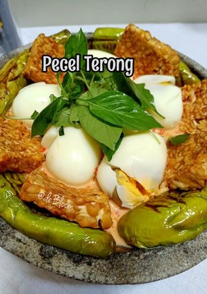 Foto resep 1008. Pecel Terong Kuah Santan (bumbu mentah)