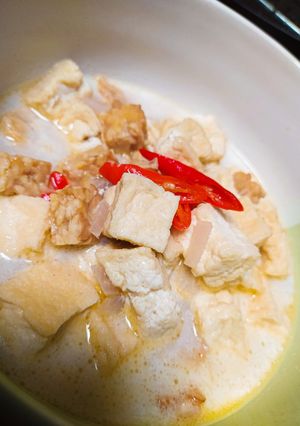 Foto resep Tahu Tempe Masak Santan