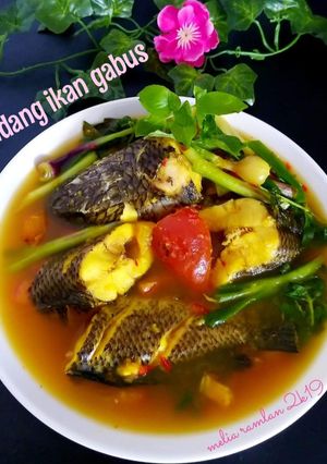 Foto resep Pindang ikan gabus