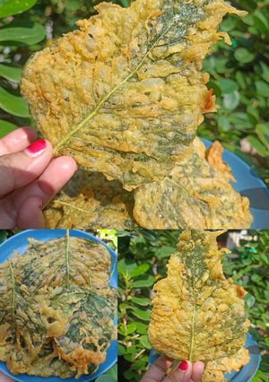 Foto resep Peyek Bayam 🌿