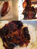 Unadon/Unagi Bakar (Belut Khas Jepang)