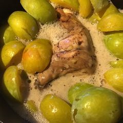 A picture of California Farm Greengage Plum Rabbit Stewed in Beer.