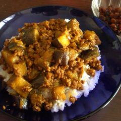 A picture of Dry Eggplant Curry for Adults.