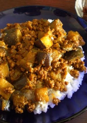 A picture of Dry Eggplant Curry for Adults.