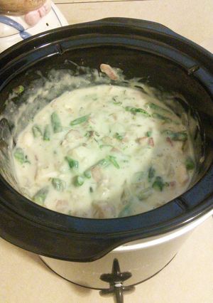 A picture of crock pot chicken Alfredo.