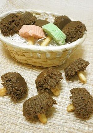 A picture of Crunchy Chocolate Mushrooms.