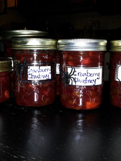 A picture of Evil Cranberry Chutney.