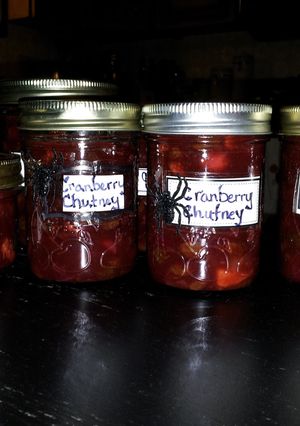 A picture of Evil Cranberry Chutney.