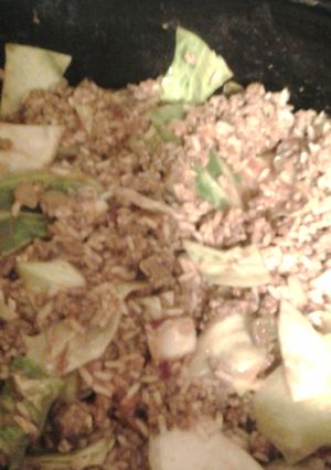 A picture of Crockpot stuffed cabbage casserole.