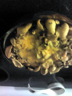 A picture of Frido chili pie.