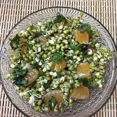 A picture of Sprouts and orange salad.