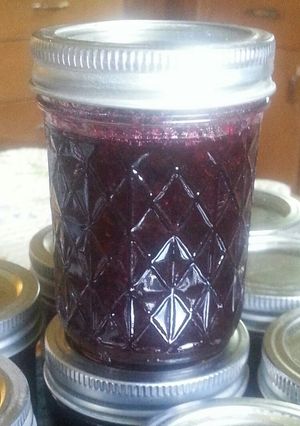 A picture of BLUEBERRY - LEMON JAM.