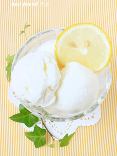 A picture of Yogurt Sorbet for the Summertime.