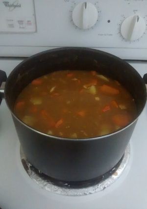 A picture of Japanese style chicken curry.