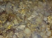 A picture of seasoned salt for potatoes