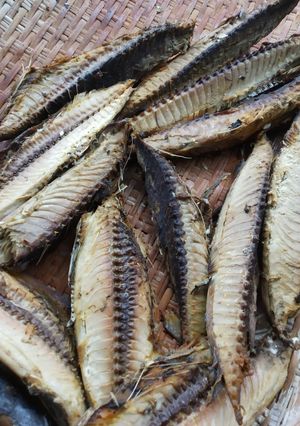 Foto resep Ikan Kayu (keumamah)