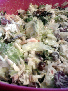 A picture of Olive Garden Chicken Salad.