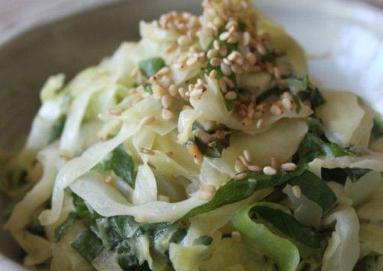 Refreshing Cabbage and Shiso with Mayonnaise and Miso