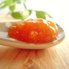 A picture of Rum Flavored Persimmon Purée.
