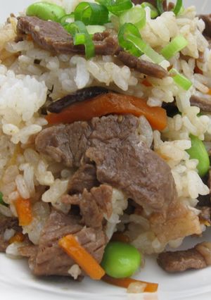 A picture of Beef Mazegohan.