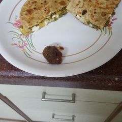 A picture of Pizza Roti.