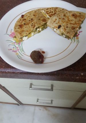 A picture of Pizza Roti.
