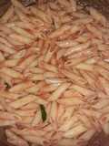 Penne cu sos de roșii și busuioc