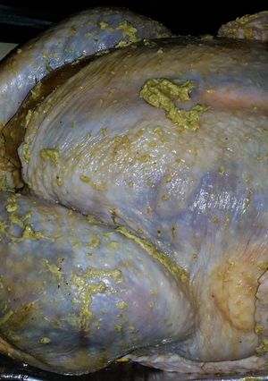 A picture of Big Guy's easy Teriyaki Roasted Turkey.