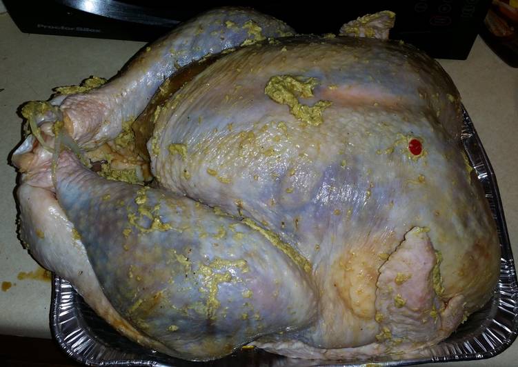 How to Make Speedy Big Guy&#39;s easy Teriyaki Roasted Turkey