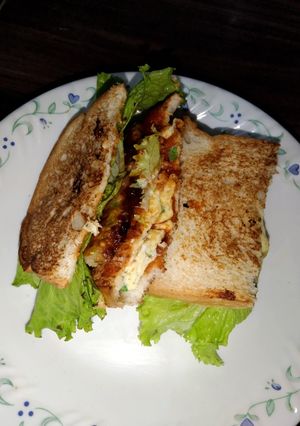 A picture of Healthy Sandwich.