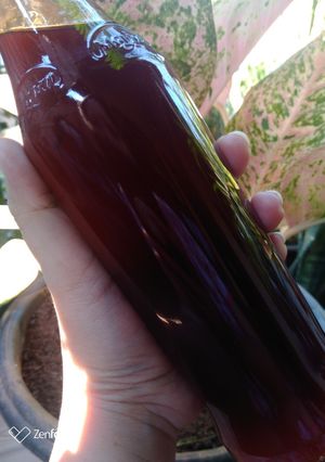 Foto resep Siropen Biluh (Sirup Belimbing Wuluh)