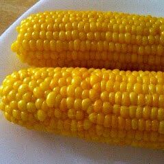 A picture of My Way to Deliciously Boil Corn on the Cob.
